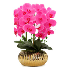 Cargar imagen en el visor de la galería, Orquídea Pink in Round Gold Vase
