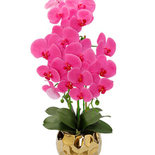 Cargar imagen en el visor de la galería, Orquídea Pink in Round Gold Vase
